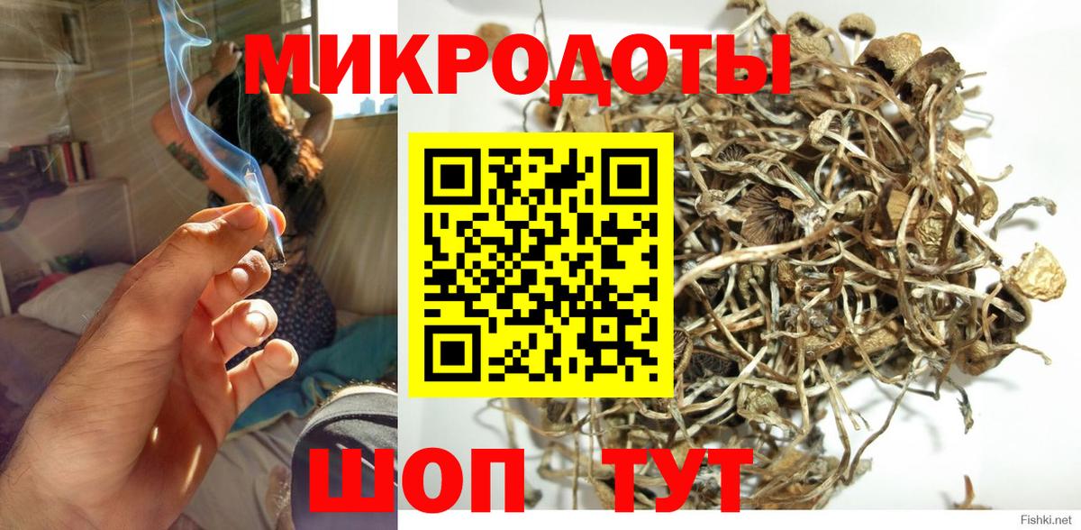 Псилоцибиновые грибы Cubensis  Вход с VPN  Тольятти  Галлюциногенные грибы Psilocybine cubensis 
