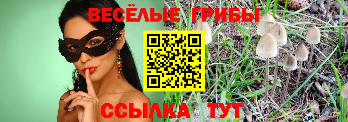 Галлюциногенные грибы мицелий Тольятти
